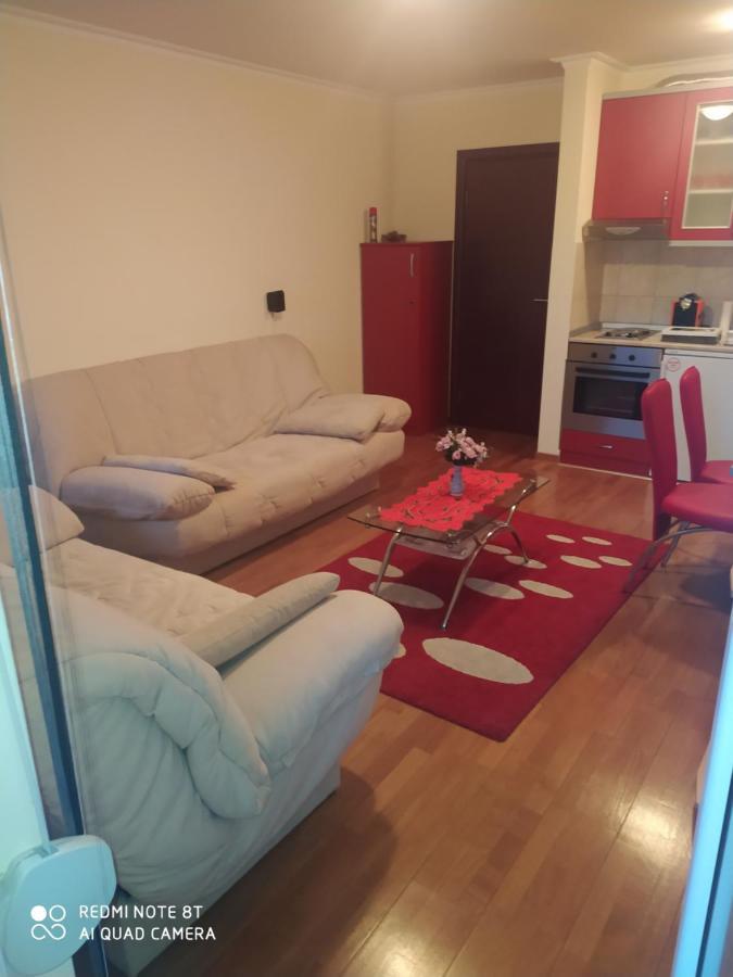 Apartman Arsenijevic Vrnjačka Banja Kültér fotó